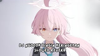 DJ Ngocok Dingin Keringetan Slowed Reverb