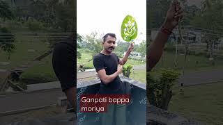 Ganpati Bappa Moriya Leaf Decoration.u Can Learn How To Leaf Carving Step By Step