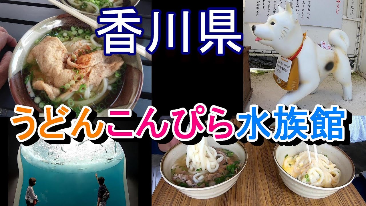 車中泊で香川県へ うどん巡り こんぴらさん 四国水族館 Youtube 車中泊で香川県へ うどん巡り こんぴらさん 四国水族館 Youtube