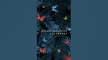 قل انني هداني ربي الى صراط مستقيم || تلاوة هادئة بصوت ماهر المعيقلي 😴♥️