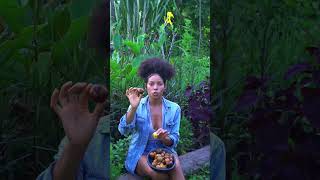 Pocos Conocen Esta Fruta Ancestral Coyol O Corozo