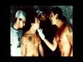 Red Hot Chili Peppers - Party On Your Pussy, Me And My Friends (Live)