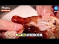 치킨 프랜차이즈 기름에 튀기지않은 가마꿉 브랜드 영상