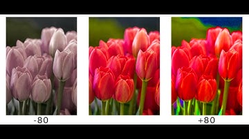 How to Adjust Color Copy Settings on Xerox Altalink