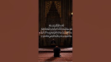 #الشيخ_ماهر_المعيقلي #تلاوة_مؤثرة #رحلة_إيمانية #راحة_نفسية #جمال_التجويد #سورة_البقرة