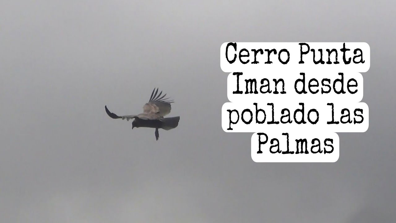 Trekking Cerro Punta Imán 28 Octubre 2023 - YouTube