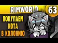Без Кота Жизнь Не Та - 63 - RimWorld HSK