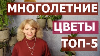 Самые красивые многолетние цветы для сада