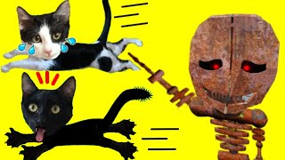 Gato escapa de la escuela de Mr Pesadilla en Roblox Escape Mr Nightmare con gatitos Luna y Estrella