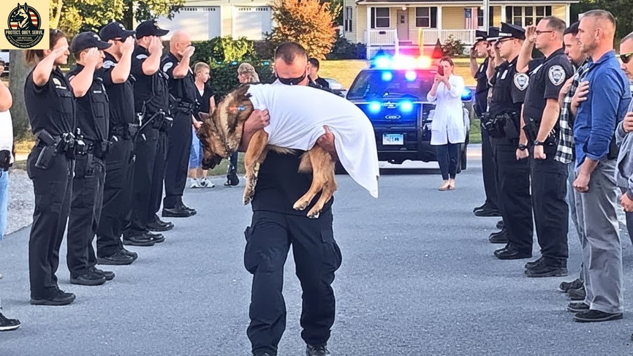 K9 Police Dogs Funeral Processions  Thank You for Your Service | top best dog training techniques
