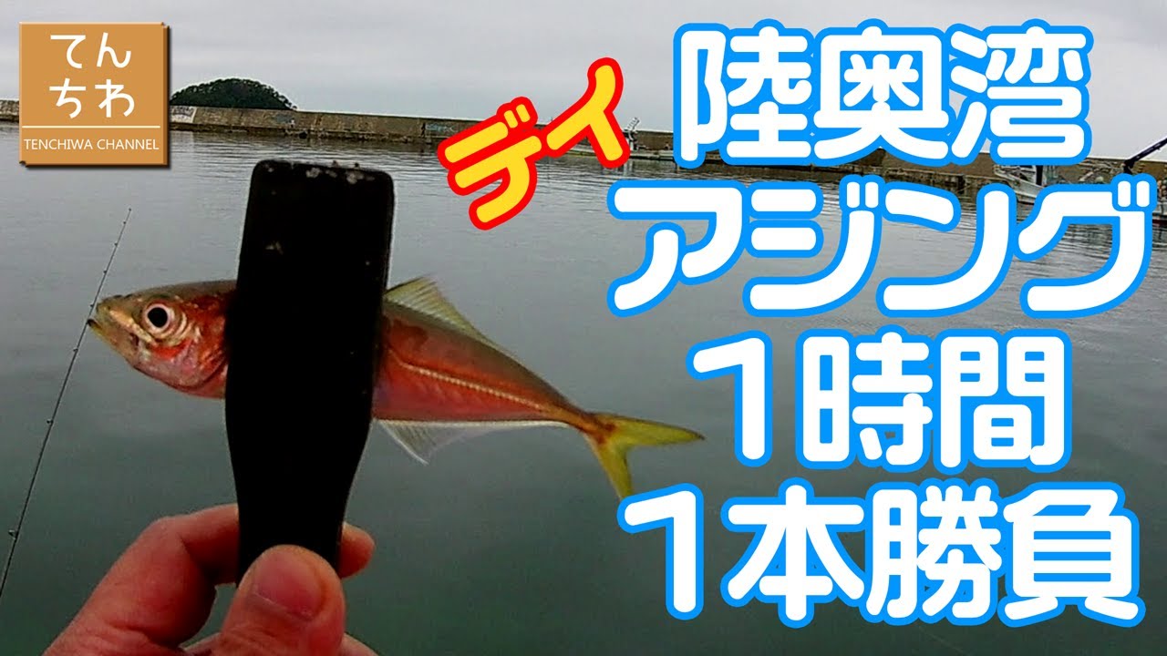 青森 釣り 爆釣 青森 陸奥湾デイアジング1時間1本勝負 陸奥湾 アジング Youtube 青森 釣り 爆釣 青森 陸奥湾デイアジング1時間1本勝負 陸奥湾 アジング Youtube