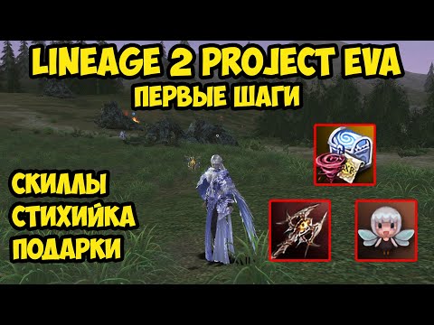 Видео: Первые шаги в Lineage 2 Project Eva.