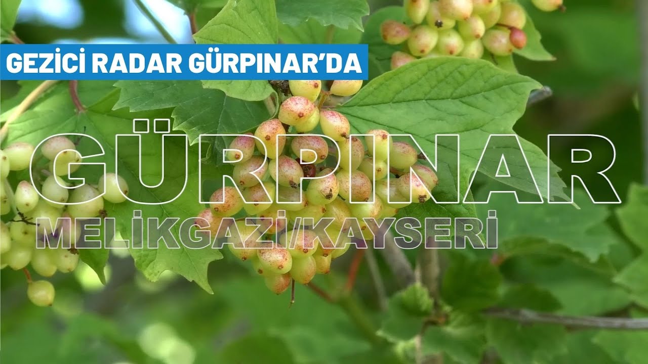 Gezici Radar Gürpınar'da