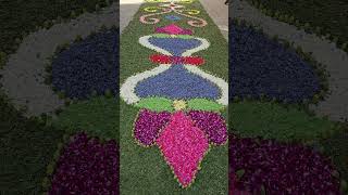 Alfombra de flores #Redondela #CorpusChristi #elcanaldelmajo #SamsungGalaxyS23ultra
