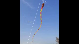 Snake Kite 55m / 180ft