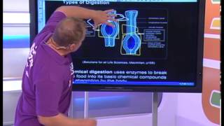 Human Nutrition - Mechanical & Chemical Digestion