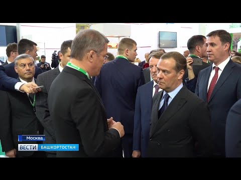 Смотреть фото В Москве сегодня открылась выставка крупнейших достижений в сельском хозяйстве – «Золотая осень» новости россия москва Смотреть фото В Москве сегодня открылась выставка крупнейших достижений в сельском хозяйстве – «Золотая осень» новости россия москва