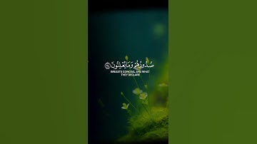 #الشيخ_ياسر_الدوسري #سورة#النمل #قران_كريم