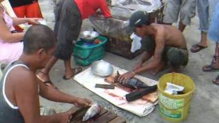 Fishermen with tuna fishing at the beach. - Sabang, Philippines. by watermelon 276,969 views 12 years ago 1 minute, 27 seconds
