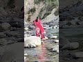 #song #uttarakhand #nature #ytshortsvideo