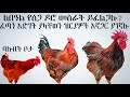 ስጠብቁት የነበረው የስጋ ዶሮ ዋጋ የሚገኝበት ቦታ ዝርያ እድሜ ሙሉ መረጃ ይዘን መተናል ለበዓል ለመስራት እና ጠቀም ያለ ትርፍ የምት ፈልጉ ጥሩ መረጃ 