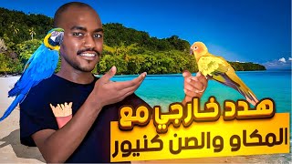 هدد خارجي مجنوون مع المكاو ?