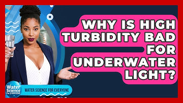 Why Is High Turbidity Bad For Underwater Light? - Water Science For Everyone