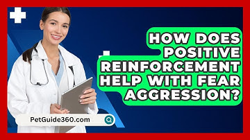 How Does Positive Reinforcement Help With Fear Aggression? - PetGuide360.com