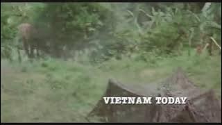 Best Action Film Full 2021 ll movie vietnam new 2021