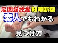 【足関節捻挫】素人でもわかる靭帯断裂の見つけ方【吉野マッスルセラピストスクール（筋膜・トリガーポイント勉強会）】