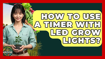 How To Use A Timer With LED Grow Lights? - The World of Agriculture