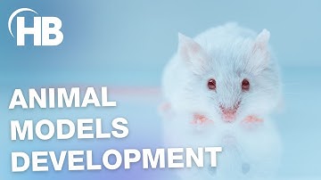 Animal Models Development by Harvard Bioscience | Explainer Video