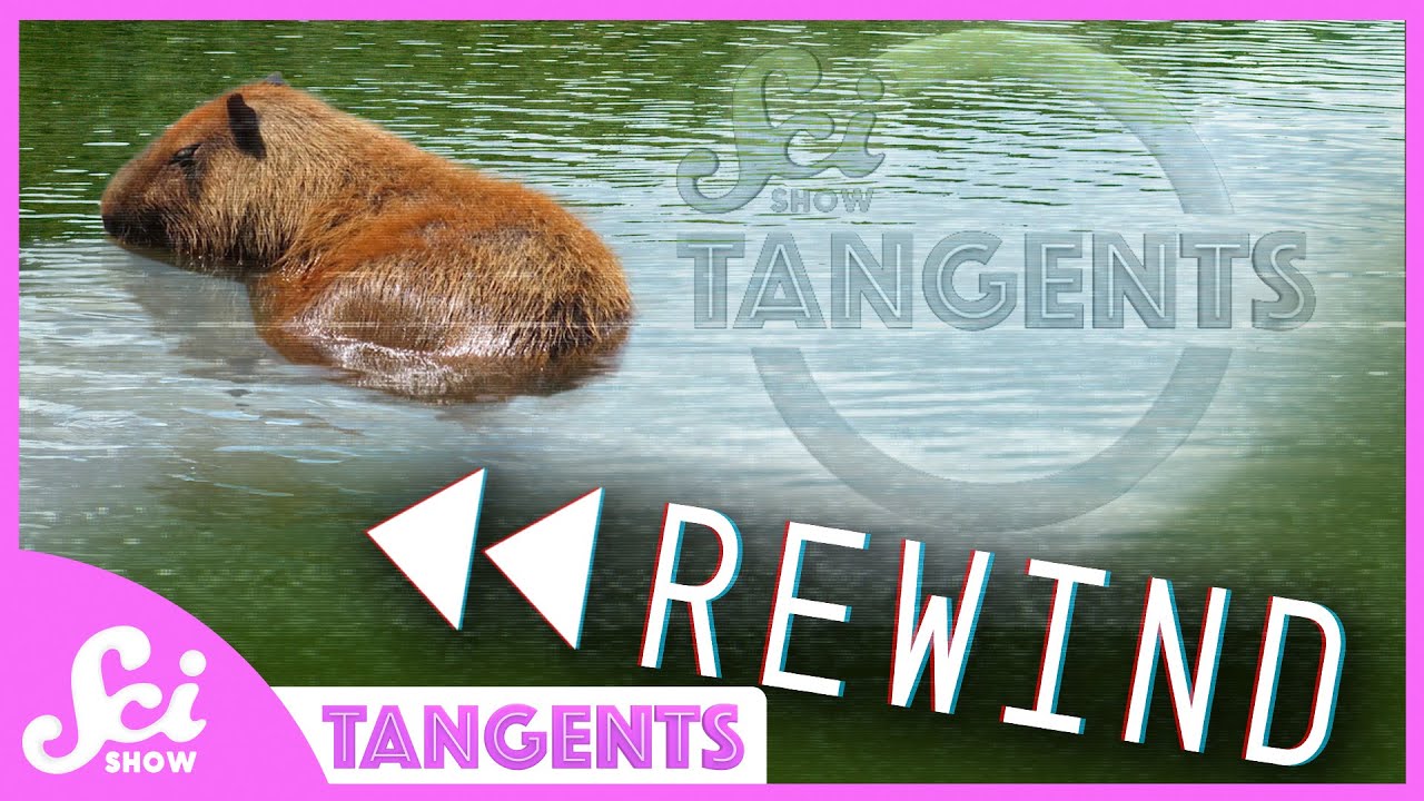 Rewind Ep. 18 – Giant Rodents | SciShow Tangents Podcast