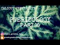 PTERIDOLOGY | Pteris External Morphology Explanation In Malayalam | BSc Botany Sem 4 | Zoology