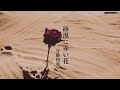砂漠に赤い花 斉藤和義 弾き語りcover尾崎丸せつ子