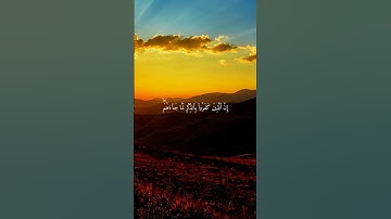 سورة فصلت { ٤٠ ــ ٤٢ } #ياسر_الدوسري  . انشر تؤجر #قرآن
