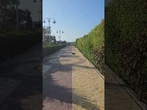 المعمورة الشاطيء Mamoura Beach 