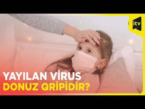 Video: İtlər üçün konservləşdirilmiş yemək 