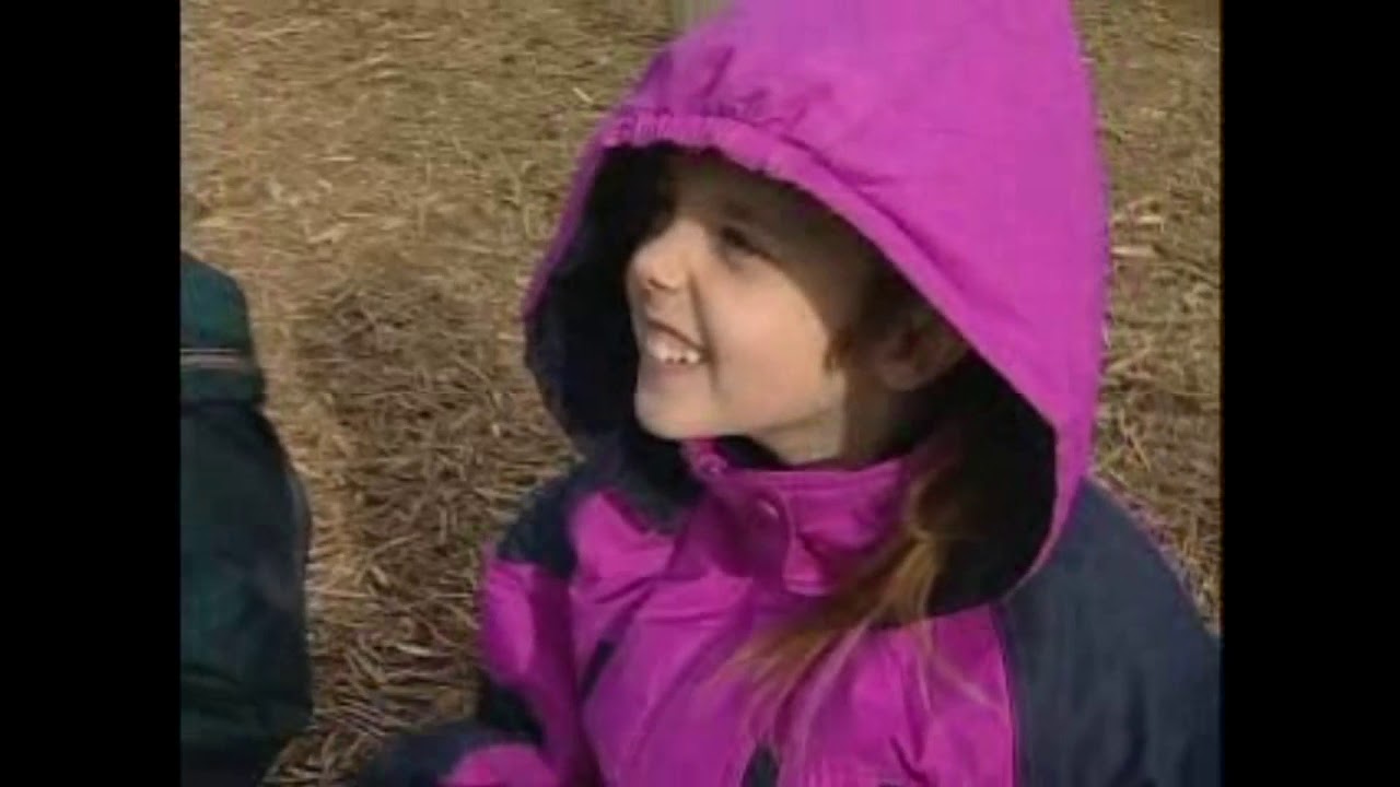 A Look Outside: The Great Backyard Bird Count