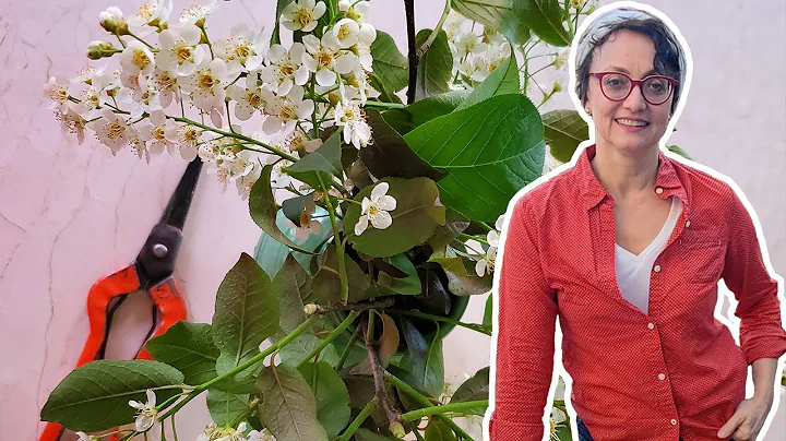 Selecting, Growing, and Drying Fragrant Plants wit...
