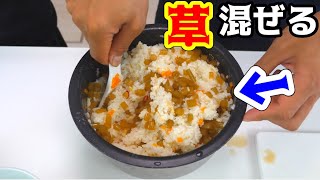 庭に生えてた草をご飯に入れてみた！