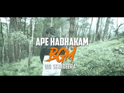 Ape Hadhakam අපෙ හාදකම්.BGM | Uzi Senadeera