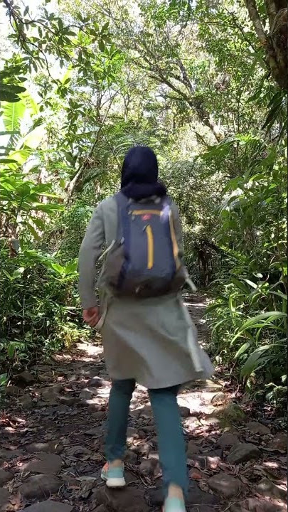 Solo Trekking to Curug Cibeureum Gunung Gede-Pangrango #solohiking #gununggede