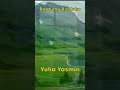 Yulia Yasmin - Rindumu Rinduku #Shorts #Music #MusicVideo