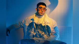 Bad Bunny - Amorfoda (Acústico) screenshot 5