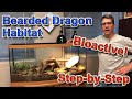 Bearded Dragon Habitat | A short How To Guide