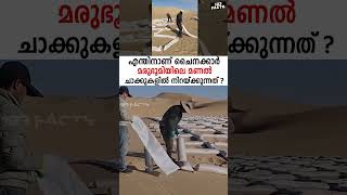 എന്തിനാണ് ചൈനക്കാർ മരുഭൂമിയിലെ മണൽ ചാക്കുകളിൽ നിറയ്ക്കുന്നത് ?😮 #japan