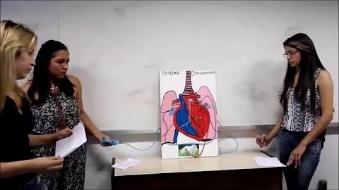Como Galeno descreveu o sistema circulatório?