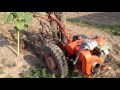 Транспортерная копалка для мотоблока МТЗ-06 Беларус !!! Harvesting potatoes!!!