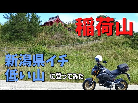 【新潟B級スポット】新潟県で一番低い山に登ってみた（村上市・稲荷山）